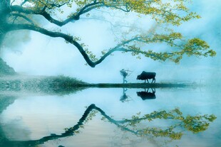湖畔琴景静谧诗意之境