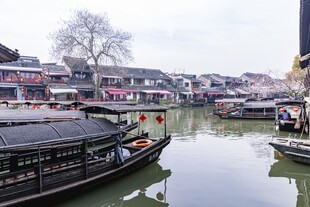 江南水乡古镇游船景致