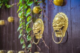 中式古门铜狮头造型门环