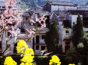 春日村落美景