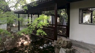 中式庭院一角