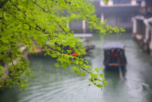 江南水乡小船悠悠