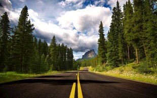 林间公路通往自然的旅程