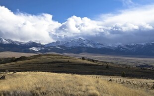 广袤草原与远处雪山美景