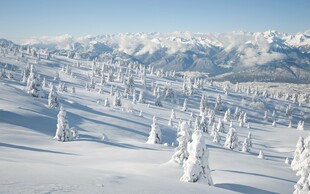 雪覆山林远处雪山壮丽