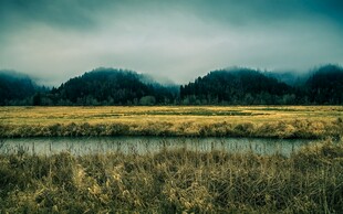 田野间的静谧水域风光