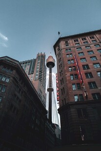 城市中高耸的独特建筑