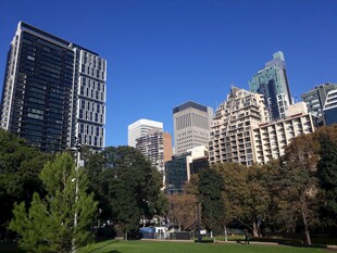 城市公园旁的现代建筑群