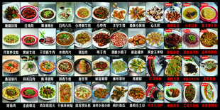 多样美食拼盘展示