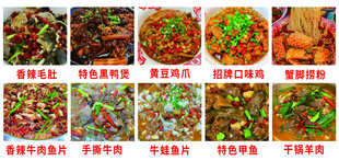 多样美味中式菜肴展示