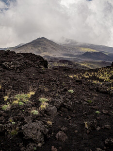 火山地貌景观植被点缀