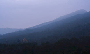 雾霭山林景色