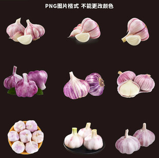 紫皮大蒜素材