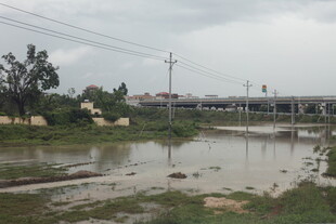 湛江乡村雨后积水景象