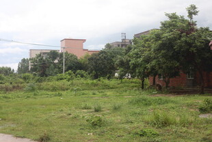 城郊草地与建筑景观