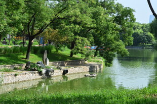 龙潭中湖风景 
