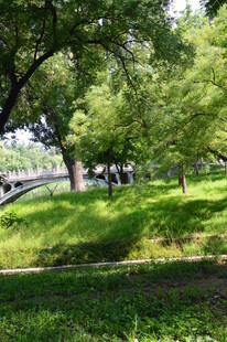 龙潭中湖风景 