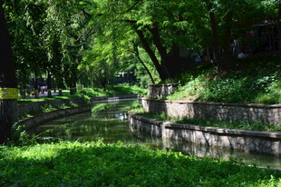 龙潭中湖风景 