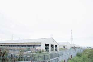 郊外白色建筑与围栏景观