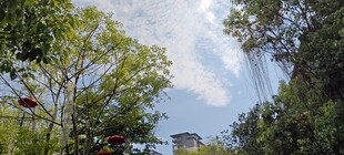 林间风光