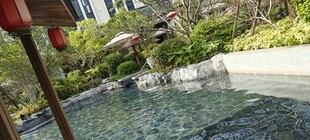 户外泳池边的绿植景观