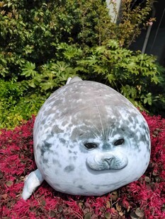 海豹抱枕