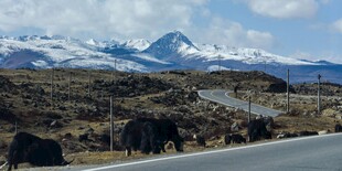 雪山公路