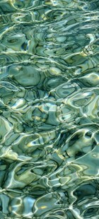 水面倒影