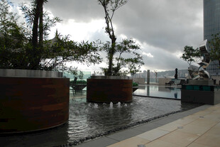 雨中城市景观绿植与建筑
