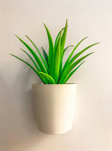 壁挂绿植盆栽
