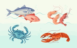 海鲜插画合集