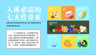 人体必需的七大营养素