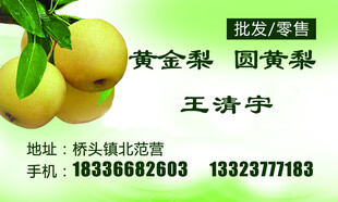 名片昌黄金梨果园直销