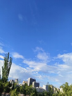 蓝天绿树间的城市景致