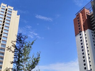 城市高楼与蓝天绿树景观