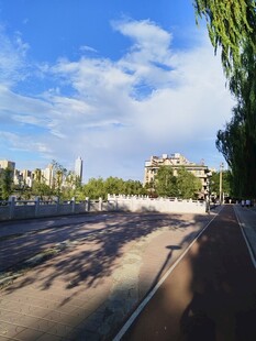 晴朗道路旁绿树与蓝天