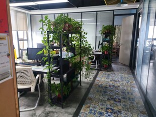 室内办公绿植装饰空间