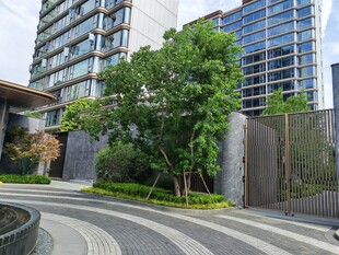现代都市景观中的绿植建筑