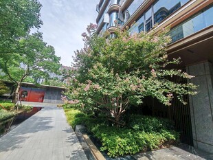 精致庭院住宅景观
