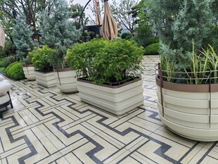户外几何地砖旁绿植景观