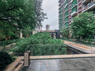 城市中静谧的绿植景观