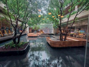 室内水景花园景观设计