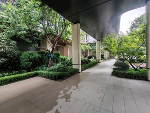 庭院绿植景观小径