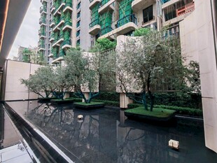 现代建筑旁的静谧水景花园