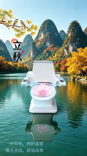 康兴激光坐浴机