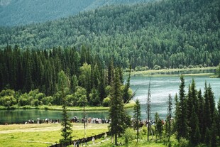 山林湖畔美景