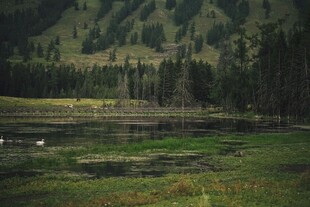 山间湖畔的静谧自然美景