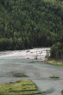 山间河流与葱郁植被景观
