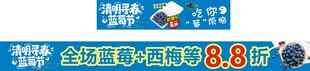 蓝莓节主题促销活动