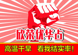 插牌拳头示范牌